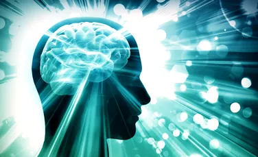 Creierul bărbaților versus creierul femeilor: Care sunt diferențele?