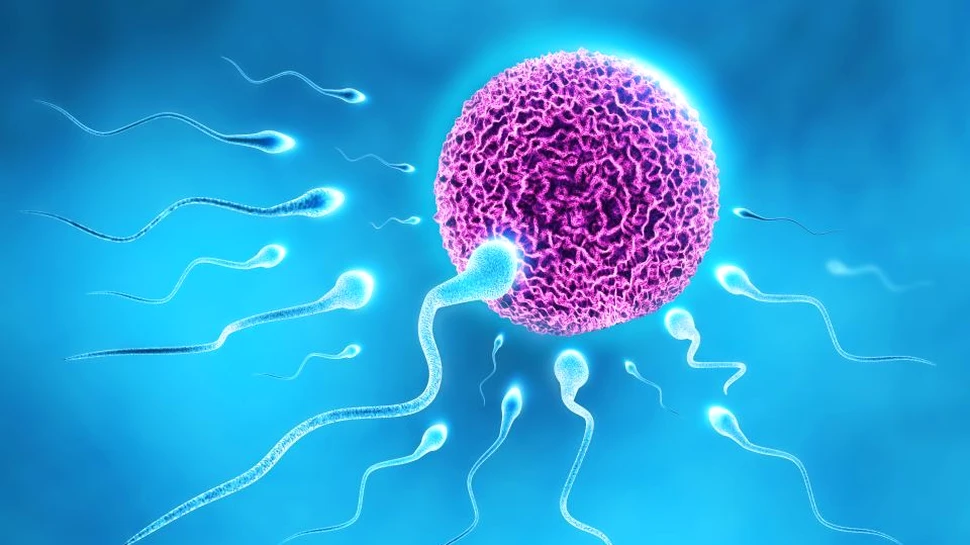 Aplicaţia pentru smartphone care testează fertilitatea spermei