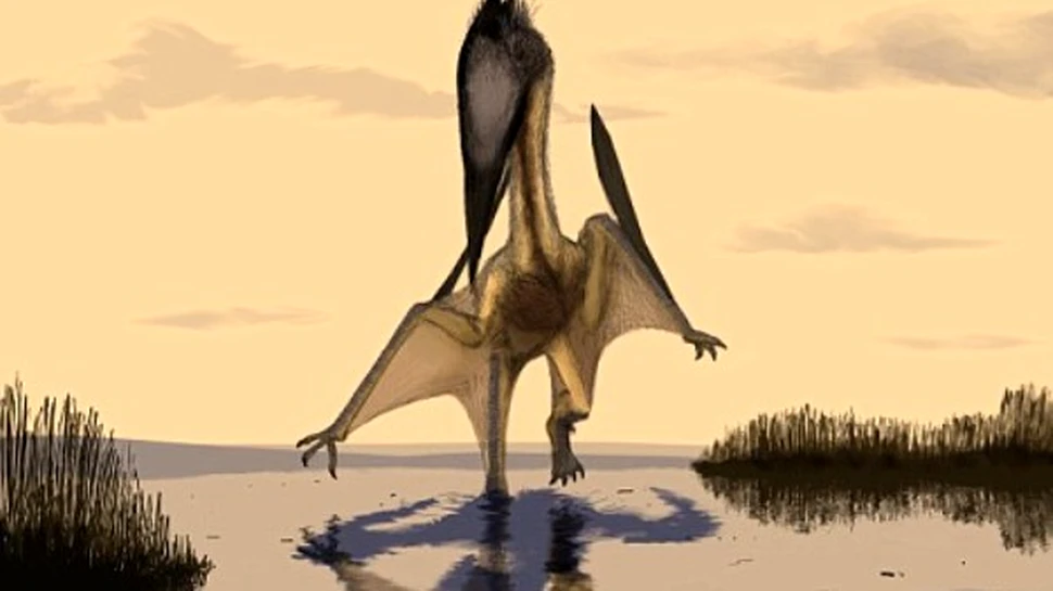 Noua specie de pterozaur descoperita in Marea Britanie