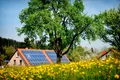 Inginerii au creat lemnul care oferă energie solară chiar și noaptea