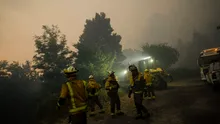 Spania și Portugalia, cuprinse de incendii de vegetație