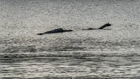 Povestea Monstrului din Loch Ness