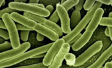 Aurul, arma secretă neașteptată în lupta cu bacteriile rezistente la antibiotice