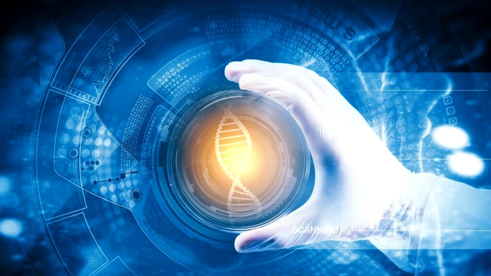 Un implant a reușit să declanșeze regenerarea naturală a oaselor, arată un studiu