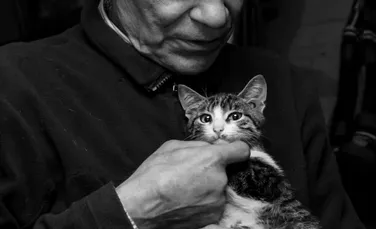 Louis Camuti, Doctorul pisicilor. Primul veterinar al felinelor