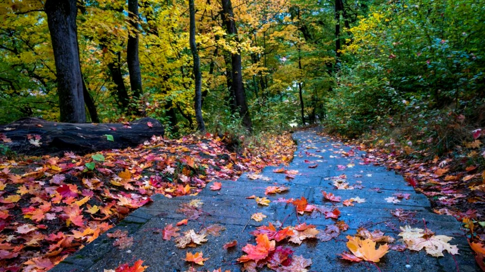 Când revine vremea caldă? Prognoza anunțată de ANM