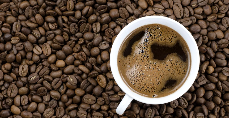 Consumul unei cantităţi mari de cafea ar putea duce la prelungirea vieţii