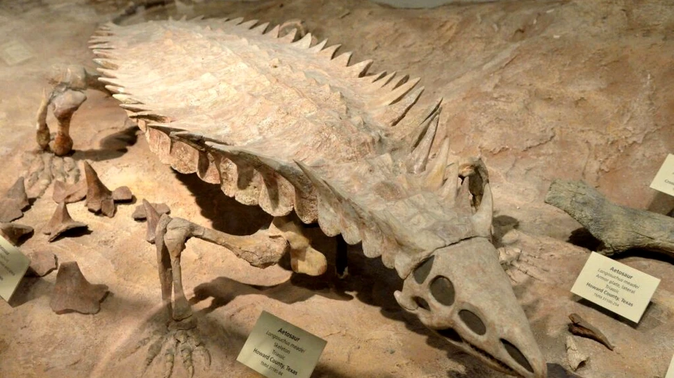 Un mister al aetozaurilor, vechi de 150 de ani, în sfârșit elucidat