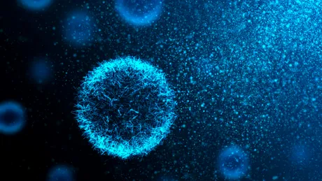Bacteriile modificate genetic descompun materialele plastice în apa sărată