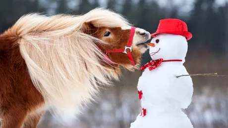 MESAJE DE CRĂCIUN 2025. Urări speciale pentru prieteni, rude sau colegii de la serviciu