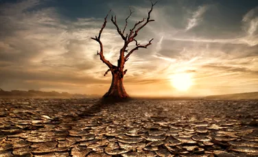 Fenomen îngrijorător observat de geologi. Scoarţa planetei a început să se ridice din cauza secetei (FOTO)