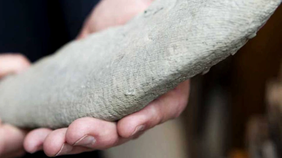 A fost descoperit misteriosul „monstru” din Cincinnati