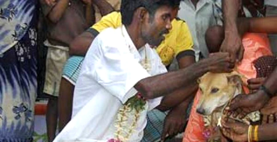 O fata din India s-a maritat cu un caine