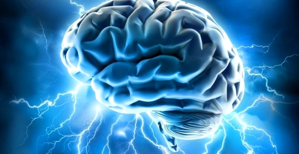 Cele mai controversate teorii despre creierul uman. Creierul sugarilor este plin de canabis?