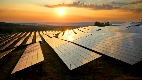 Panouri solare versus împădurire: care strategie combate mai eficient încălzirea globală?