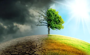 Cât ne va costa să rezolvăm problema schimbărilor climatice dacă nu luăm măsuri acum?