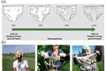 Experiment inedit în Elveția: de ce oamenii de știință au îngropat peste 2.000 de articole de lenjerie intimă