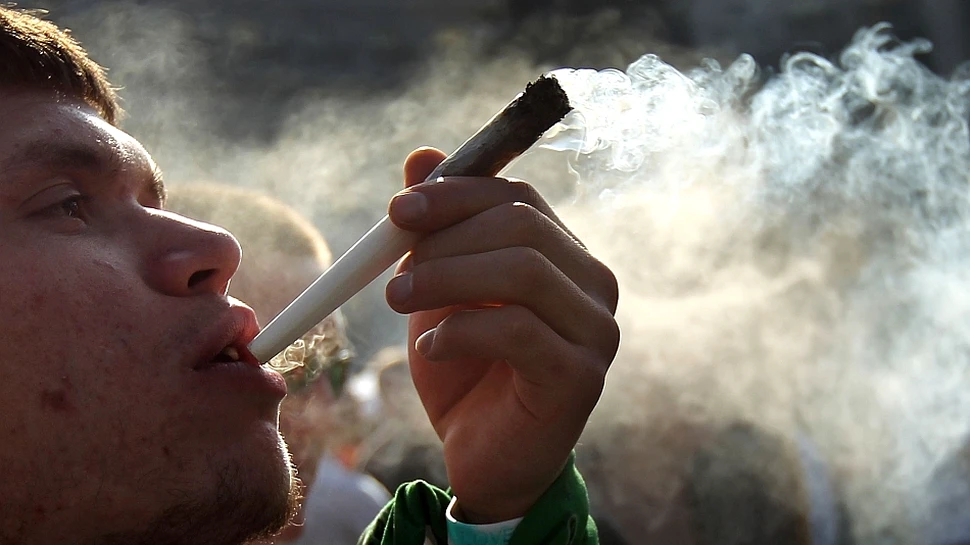 De ce devin mai leneşi consumatorii de marijuana? Un nou studiu a descifrat misterul