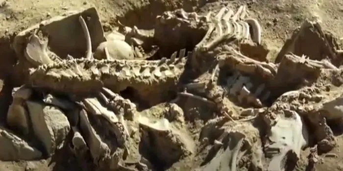 A fost descoperit mormântul unui rege urartian îngropat cu patru cai