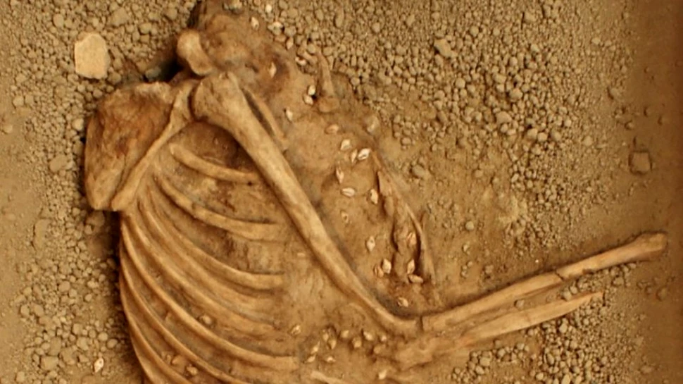 Ornamente uimitoare descoperite într-un sit arheologic vechi de 7000 de ani. ”Mormântul este excepţional”