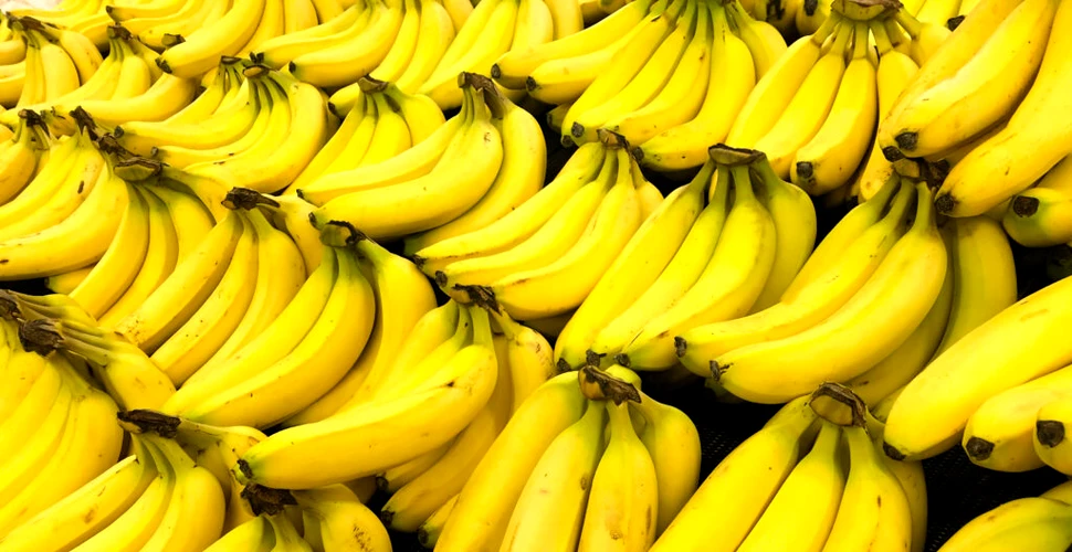 Cea mai populară banană din lume riscă să dispară