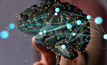 Test de cultură generală. Care este diferența dintre neural și neuronal?