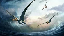 O specie nouă de pterozaur, identificată după oase de acum 100 de milioane de ani
