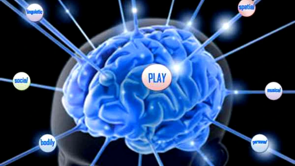 Creierul pe “pilot automat”