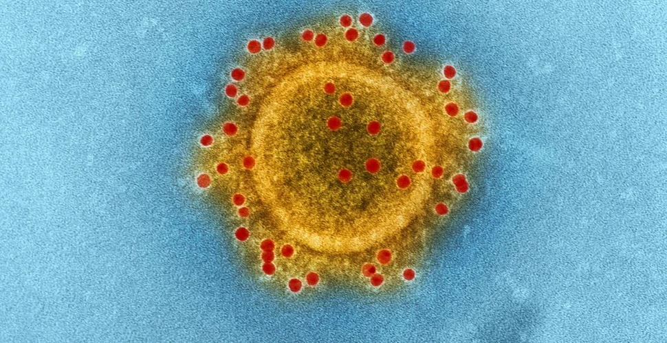 Infecțiile cu variante ale SARS-CoV-2 care determină îngrijorare, predominante în România