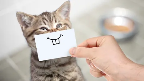 Umorul este un instrument esențial pentru o îmbătrânire sănătoasă