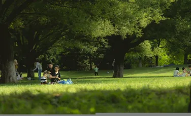 Alarmă de pestă porcină africană în Italia. Picnicurile au fost interzise în nordul Romei