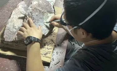 Au fost găsite primele fosile de dinozaur în Hong Kong