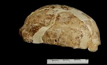 O fosilă ciudată din sudul Chinei dezvăluie o legătură neașteptată cu primii americani