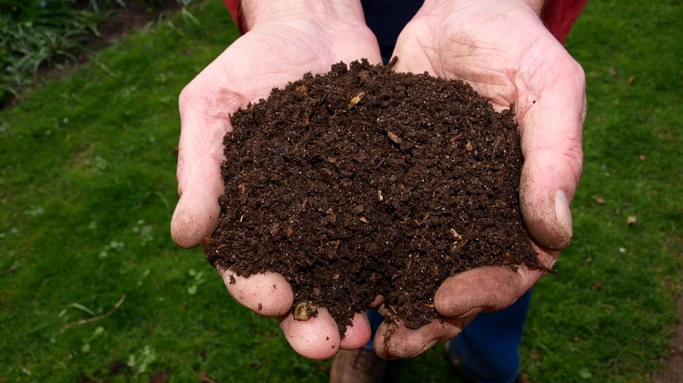 Obiceiurile eco ale românilor. Oamenii recurg tot mai frecvent la această metodă de reciclare