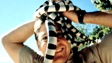 Steve Irwin, cel mai renumit și mai iubit „vânător de crocodili”