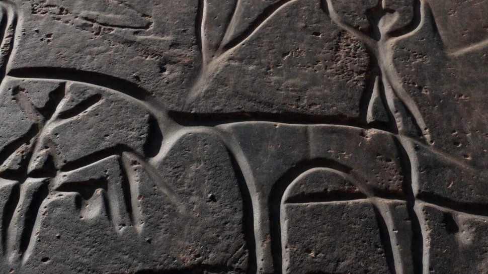 Dovezi vechi de 20.000 de ani ale unor „vehicule” antice, descoperite în America de Nord