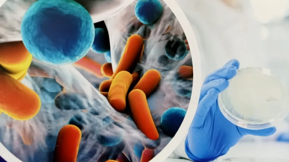 Avertismentul cercetătorilor: Rezistența la antibiotice se va agrava până în 2035