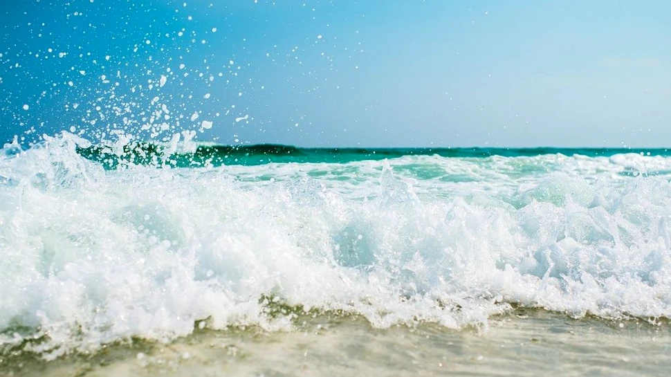 Motivul pentru care Universitatea Babeș-Bolyai a cumpărat un complex turistic din Neptun