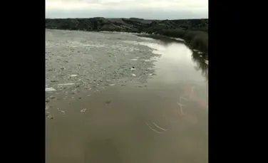 Descoperirea bizară pe o bucată de gheaţă din mijlocul unui râu cei care filmau o catastrofă naturală din SUA – VIDEO