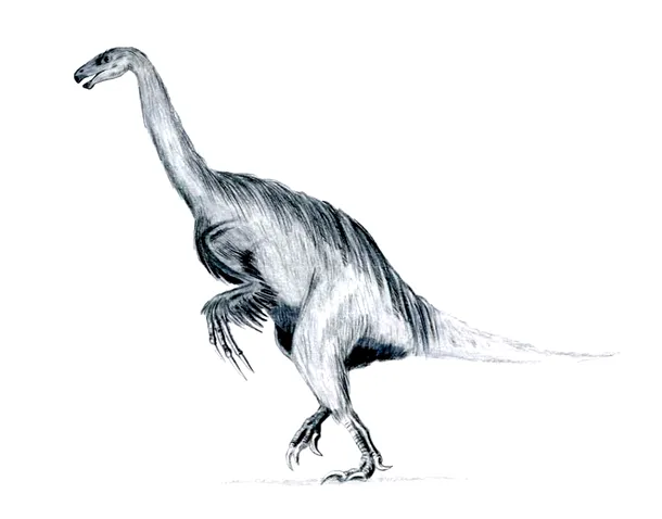 Dinozaurii cu coase -  o familie aparte 