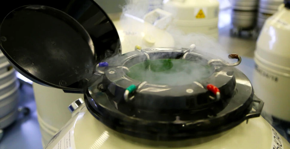 O pereche de gemeni s-a născut din embrioni congelați timp de 30 de ani