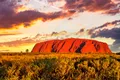 Unul dintre cele mai vechi animale ale Pământului, descoperit în pustietățile Australiei