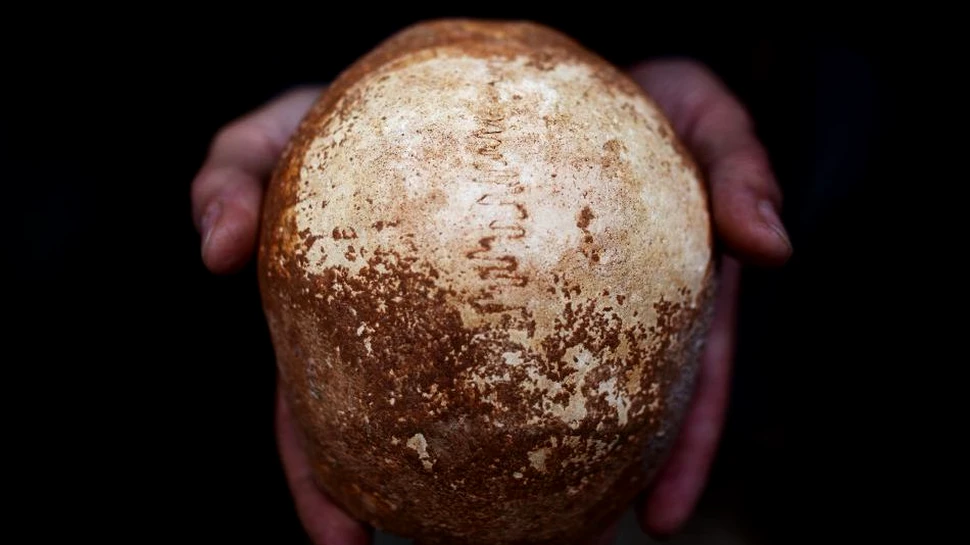 Un craniu de om modern, cu o vechime de peste 7.000 de ani, a fost descoperit în Israel