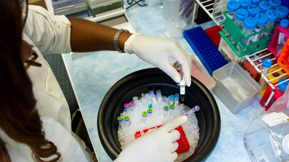 Cercetătorii suedezi au dezvoltat un nou tip de imunoterapie