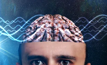 Secretul succesului s-ar putea ascunde în creier, arată o nouă cercetare