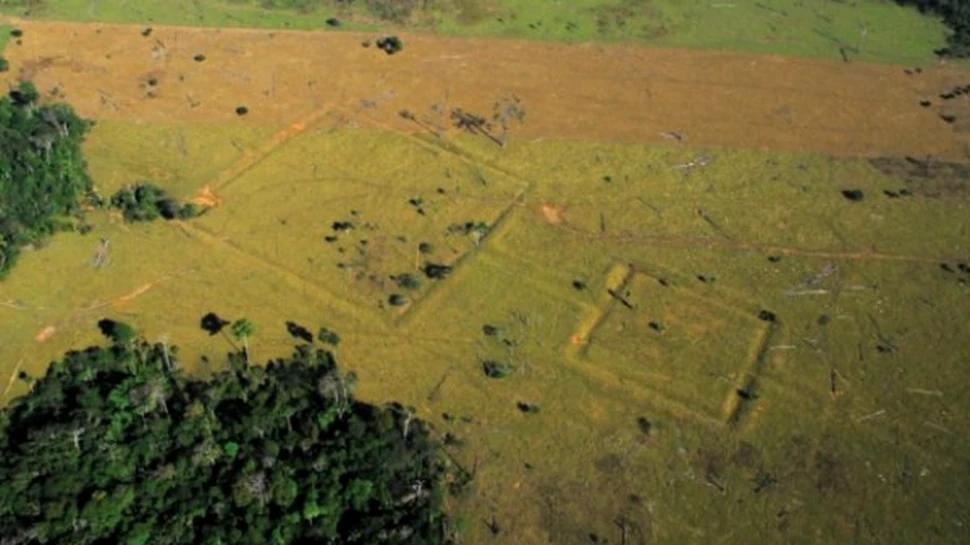 Civilizatia pierduta a Amazonului a fost descoperita “din greseala”