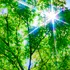 Meteorologii au anunțat cum vor fi temperaturile în luna mai