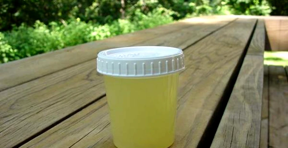 Omenirea produce 580 miliarde litri de urina saptamanal