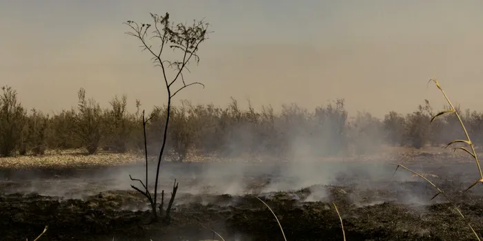 Lumea ajunge „într-un teritoriu necunoscut”. Pământul ar putea deveni „un loc nelocuibil în cel mai scurt timp”