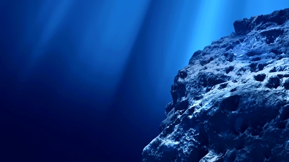 Cel mai adânc loc al oceanului abundă în forme de viaţă